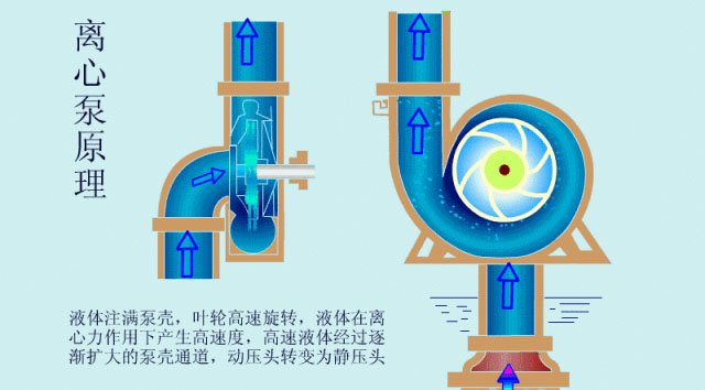 離心泵啟動時，出口閥門必須關閉嗎？