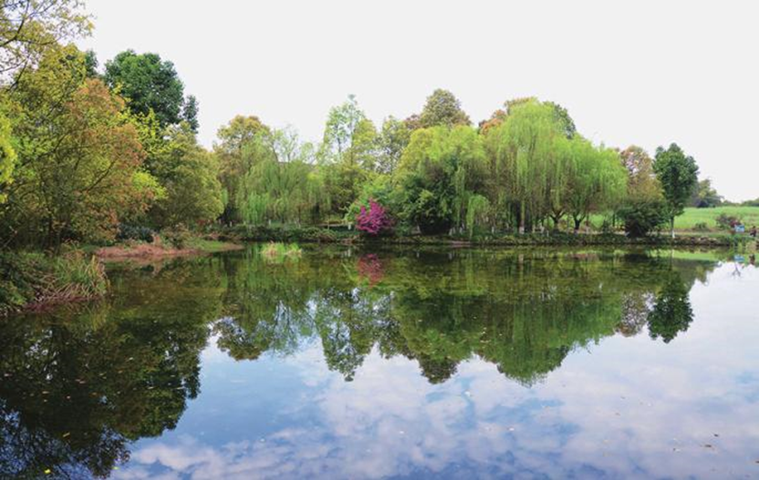 中國(guó)水環(huán)境這座再生水廠(chǎng)的地上與地下都有什么?- 中國(guó)水環(huán)境這座再生水廠(chǎng)的地上與地下都有什么?-