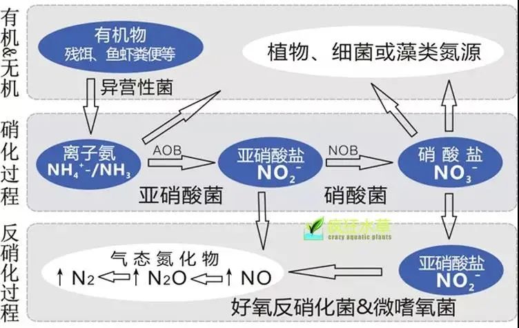 流體展|面對低濃度氨氮工業廢水束手無策?這幾種方法可以解決- 流體展|面對低濃度氨氮工業廢水束手無策?這幾種方法可以解決-