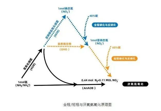 流體展|面對低濃度氨氮工業廢水束手無策?這幾種方法可以解決- 流體展|面對低濃度氨氮工業廢水束手無策?這幾種方法可以解決-
